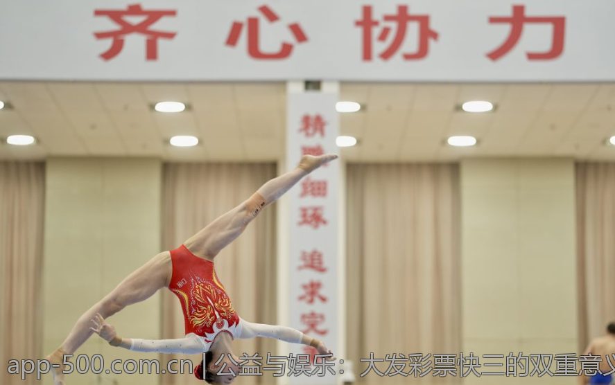 公益与娱乐：大发彩票快三的双重意义