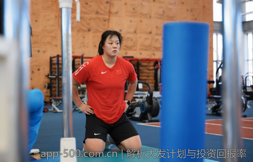 解析大发计划与投资回报率
